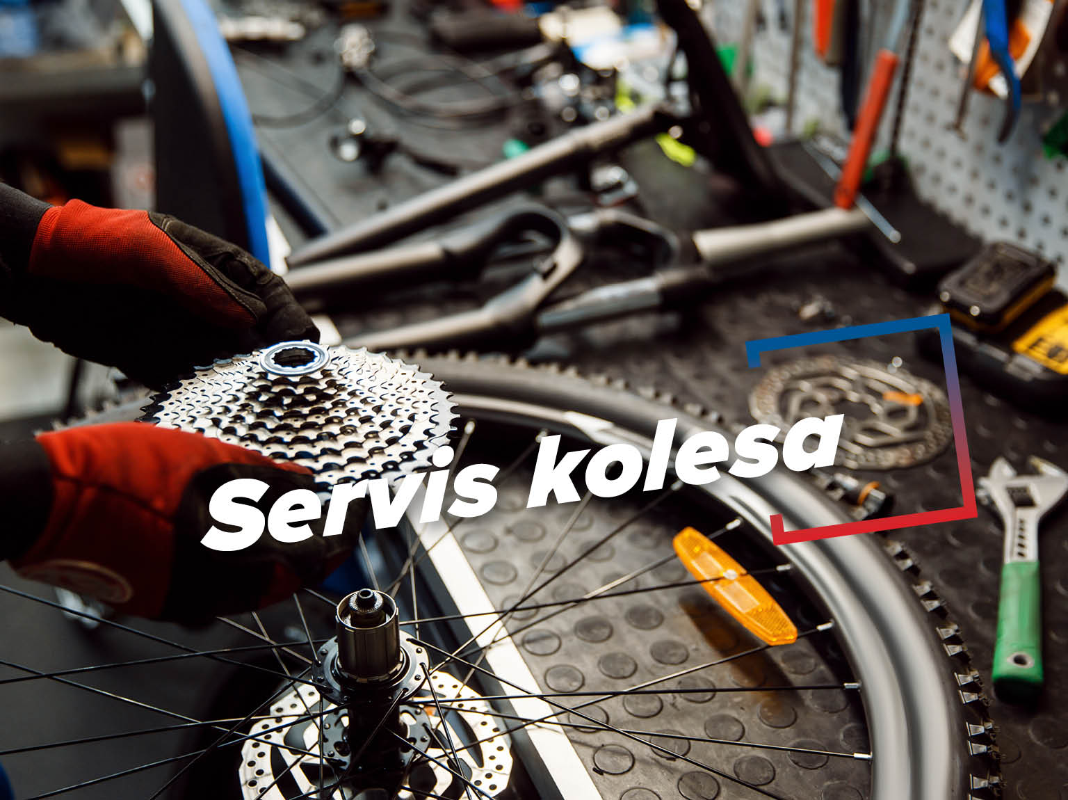 Servis kolesa