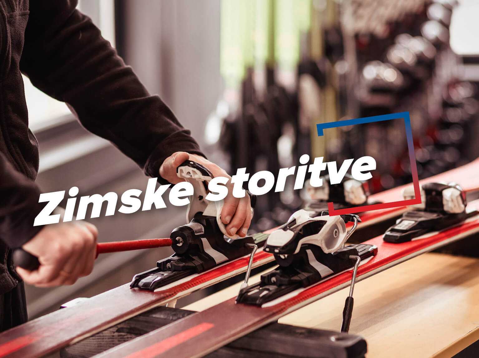 Zimske storitve